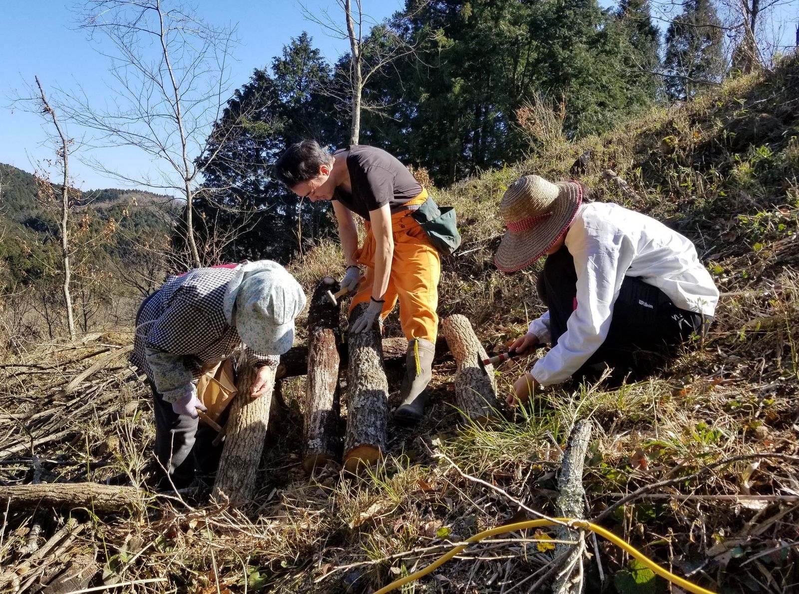 shiitake planting.jpeg