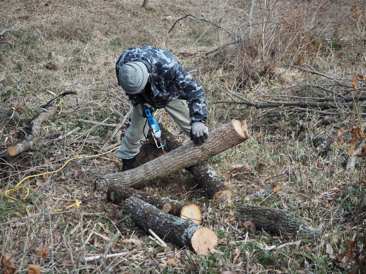 shiitake drilling.jpeg